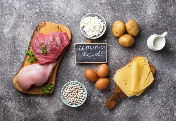 Comment les acides aminés influencent-ils la croissance musculaire et la récupération ?